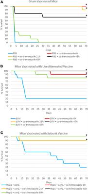 Layered and integrated medical countermeasures against Burkholderia pseudomallei infections in C57BL/6 mice